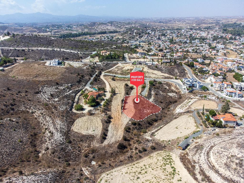 Field-Pera Chorio-PR39329
