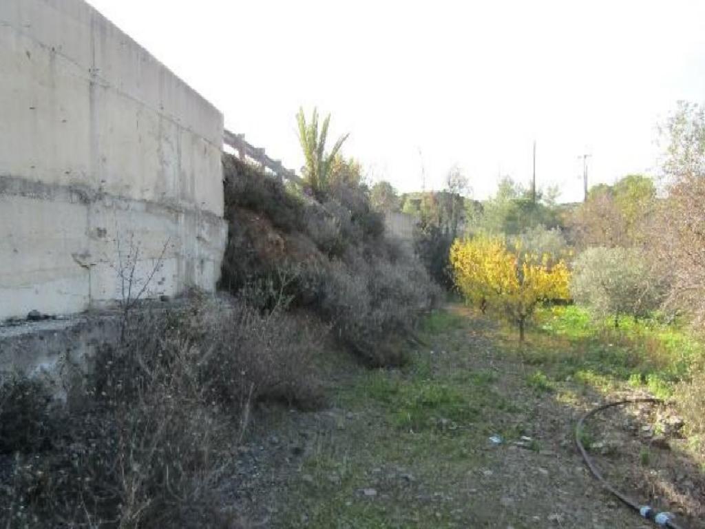 Field-Agioi Vavatsinias-PR39676