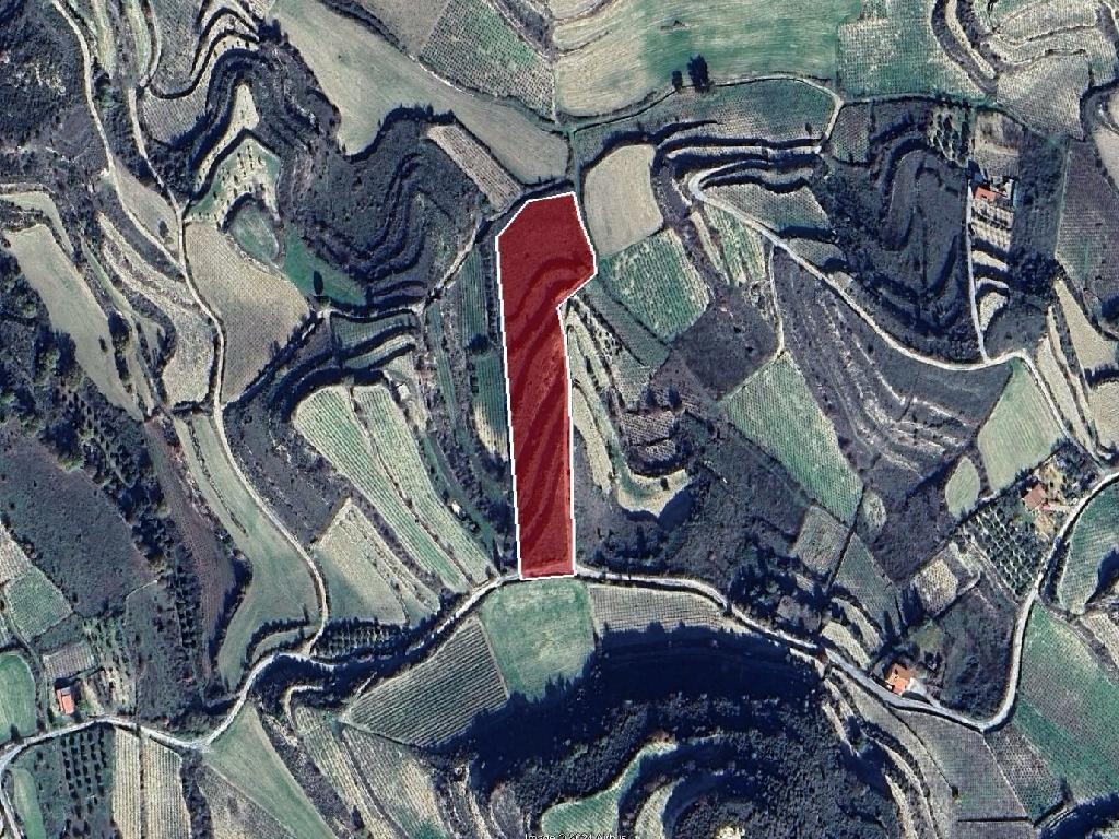 Field-Pachna-PR40316