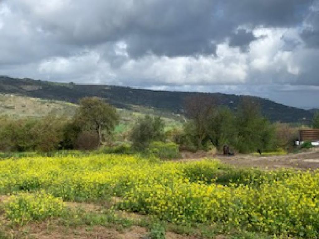 Field-Giolou-PR40500