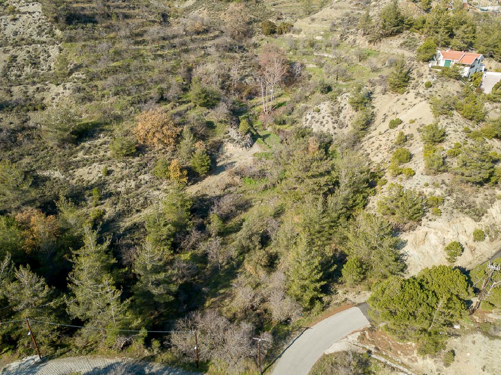 Field-Agros-PR41662