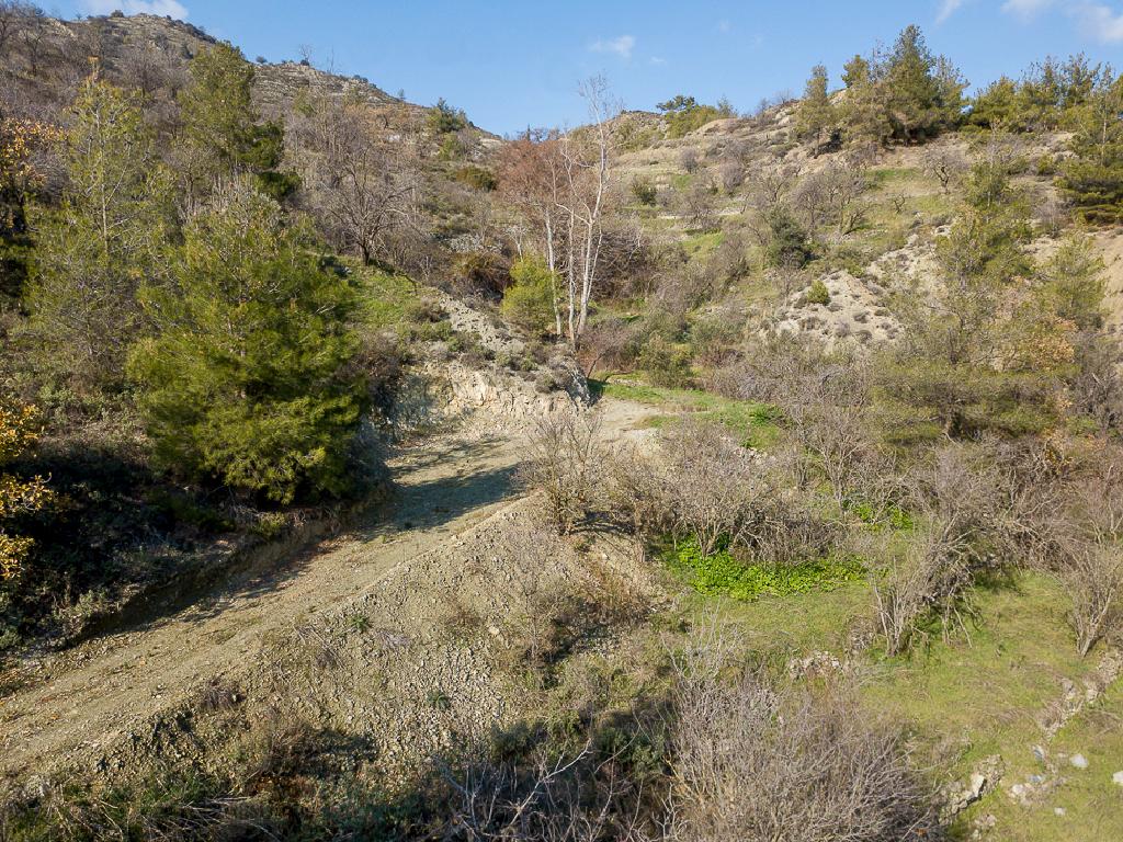 Field-Agros-PR41662
