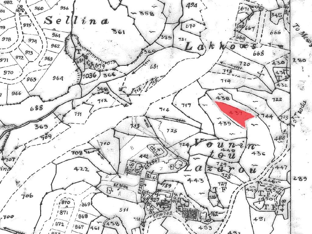 Field-Tsada-PR43357
