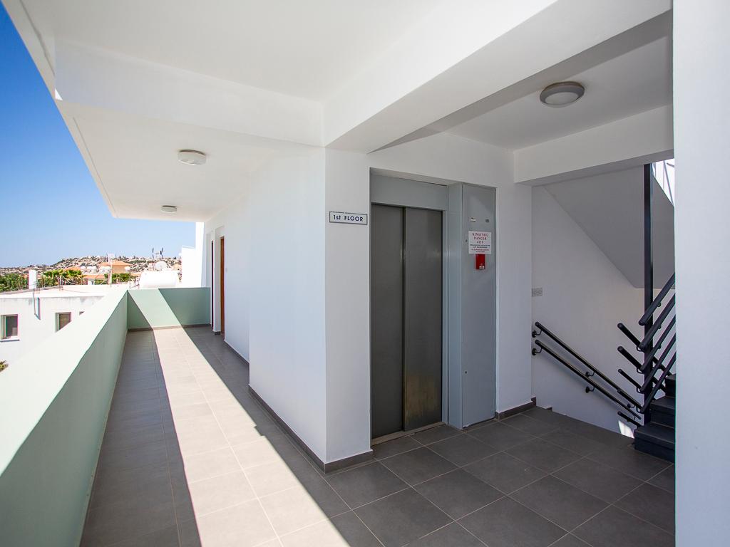 Flat-Pegeia-PR43550