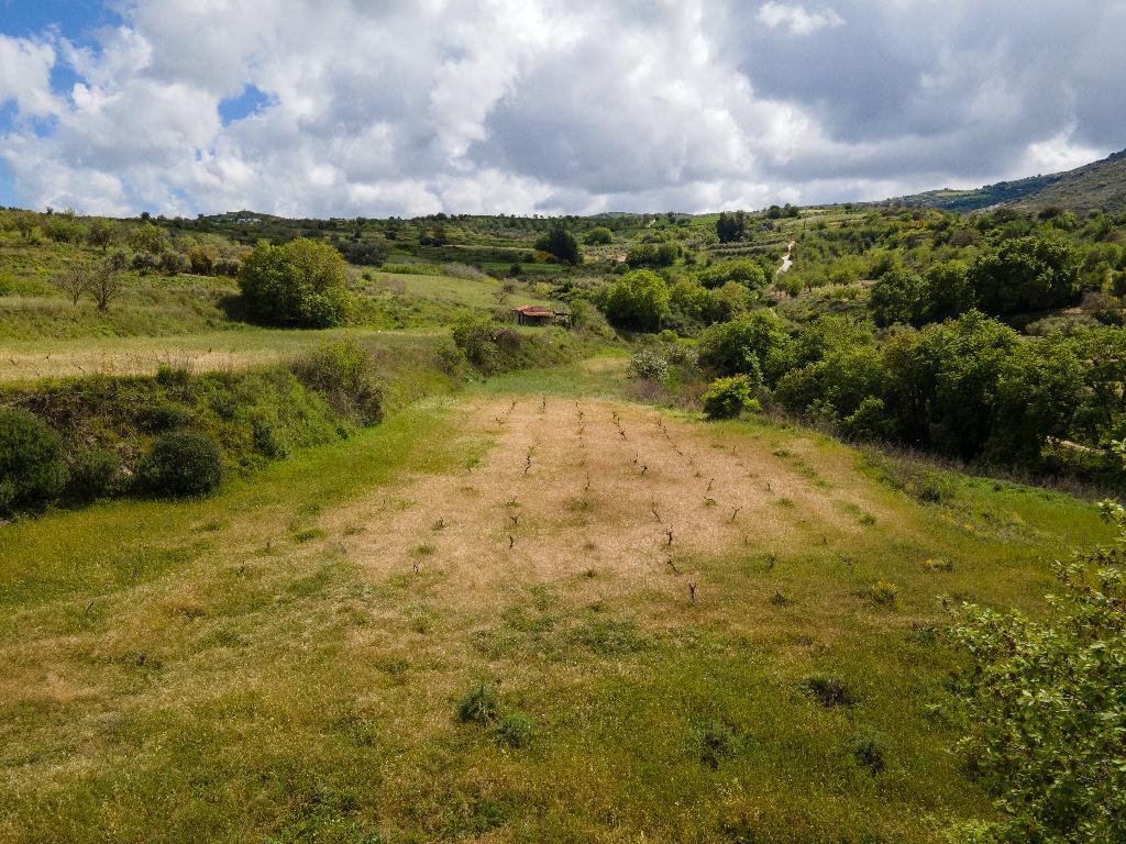 &Chi;&omega;&rho;ά&phi;&iota;-&Theta;&epsilon;&lambda;έ&tau;&rho;&alpha;-CP10198