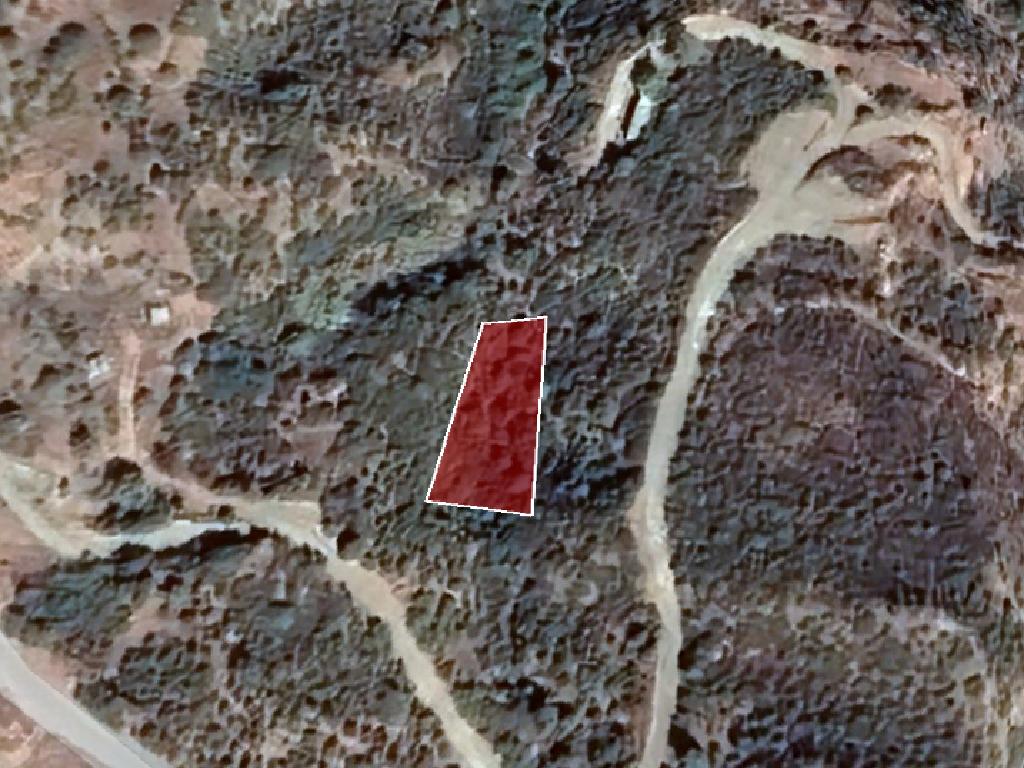 Field-Kato Pyrgos-PR13455