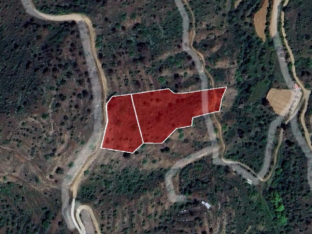 Field-Gourri-PR13814