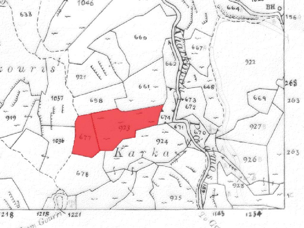 Field-Gourri-PR13814