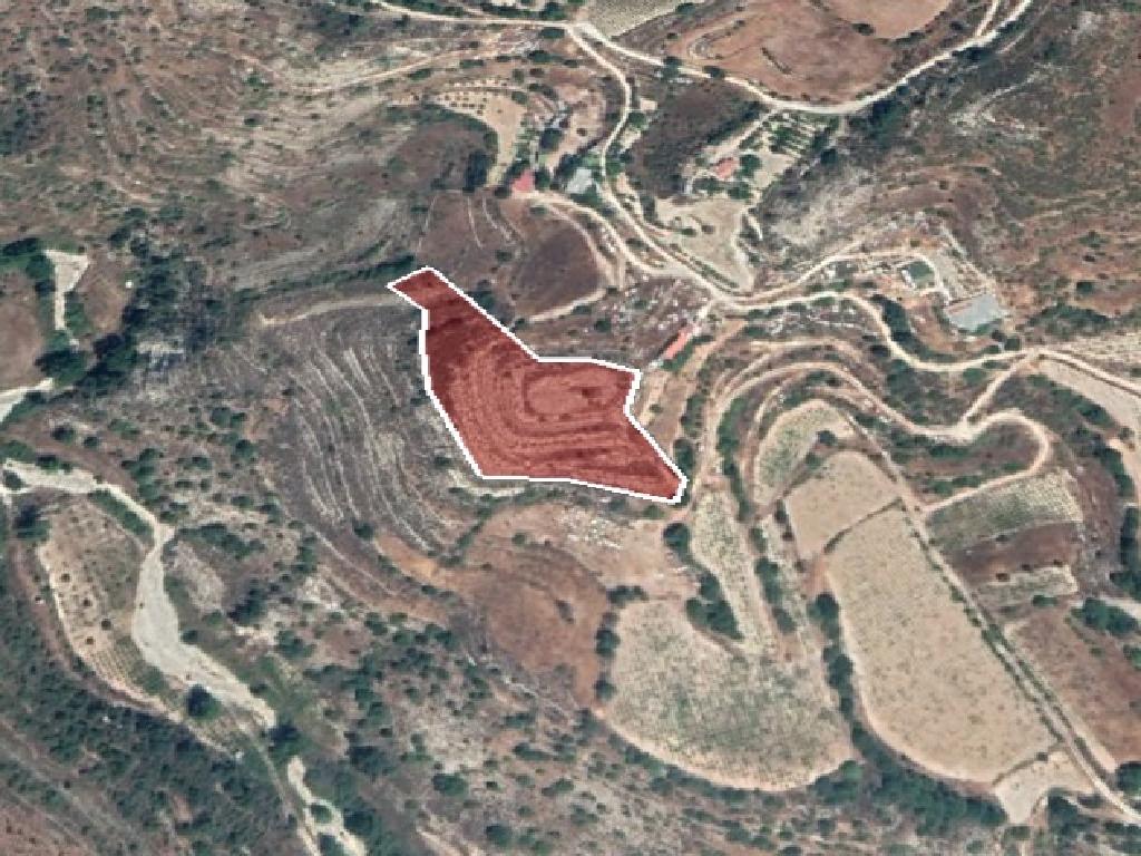 Field-Agios Therapon-PR12462