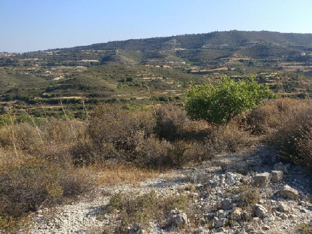 Field-Agios Therapon-PR12462