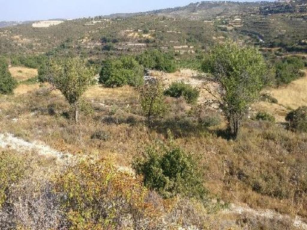 Field-Agios Therapon-PR12462