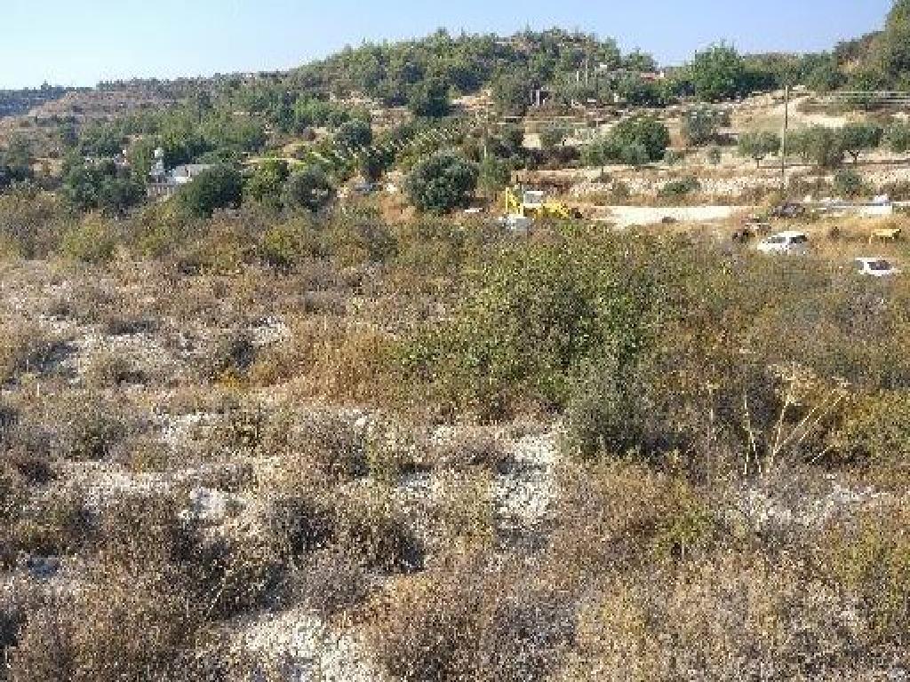 Field-Agios Therapon-PR12462