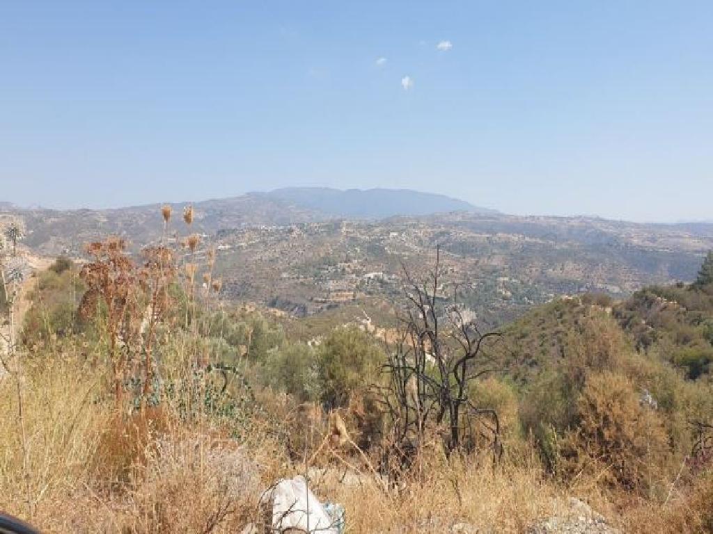 Field-Agios Therapon-PR12462