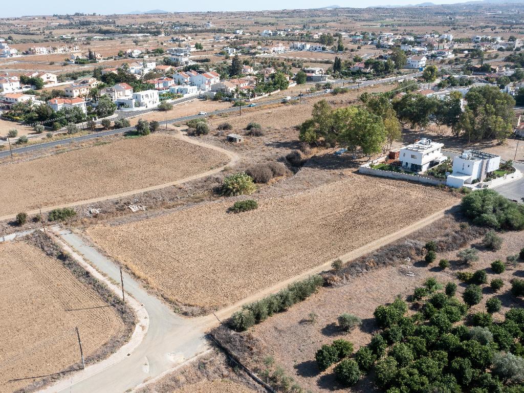 Field-Psimolofou-PR32567
