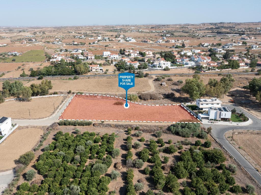 Field-Psimolofou-PR32567