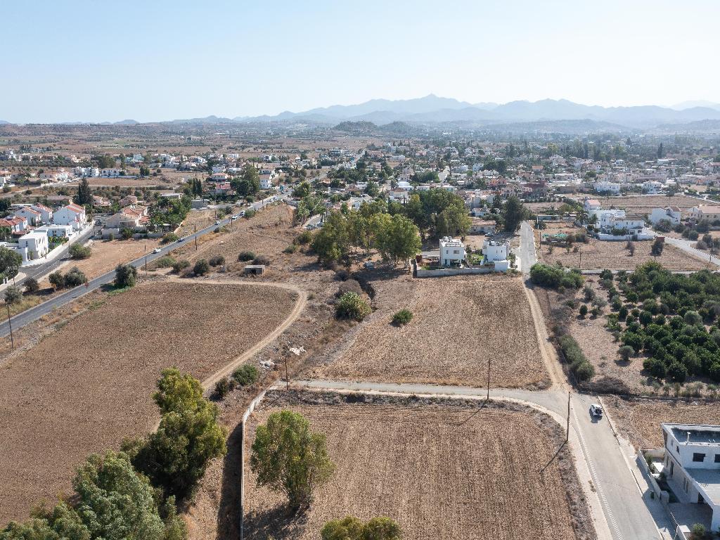 Field-Psimolofou-PR32567