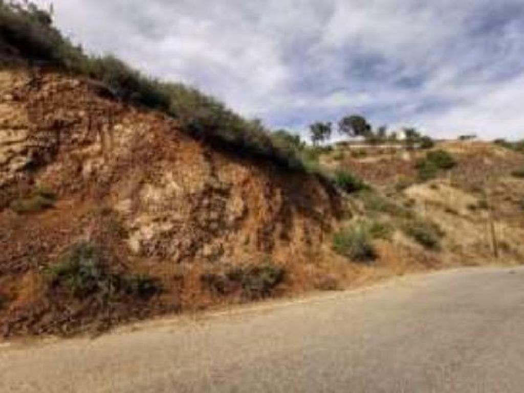 Field-Agioi Vavatsinias-PR33547