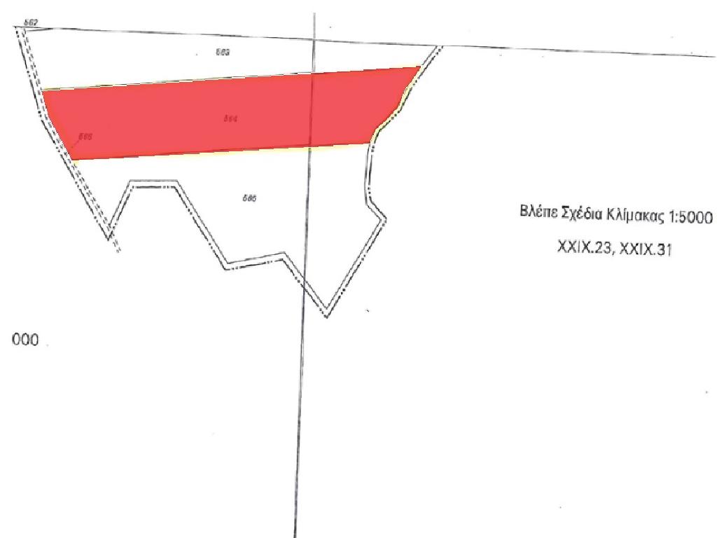 Field-Paleometocho-PR34160