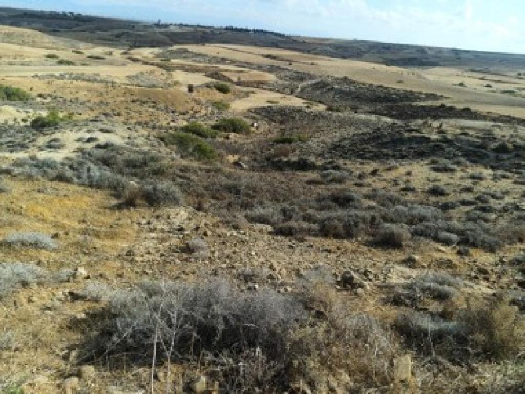 Field-Paleometocho-PR34160