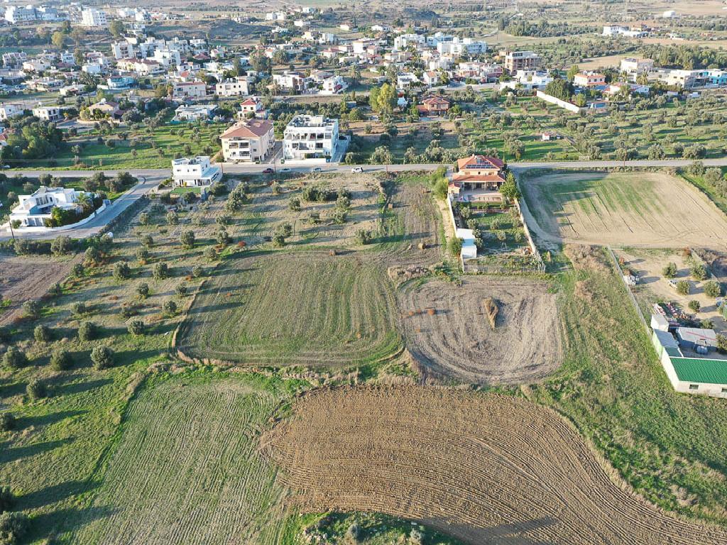 Field  - Geri, Nicosia