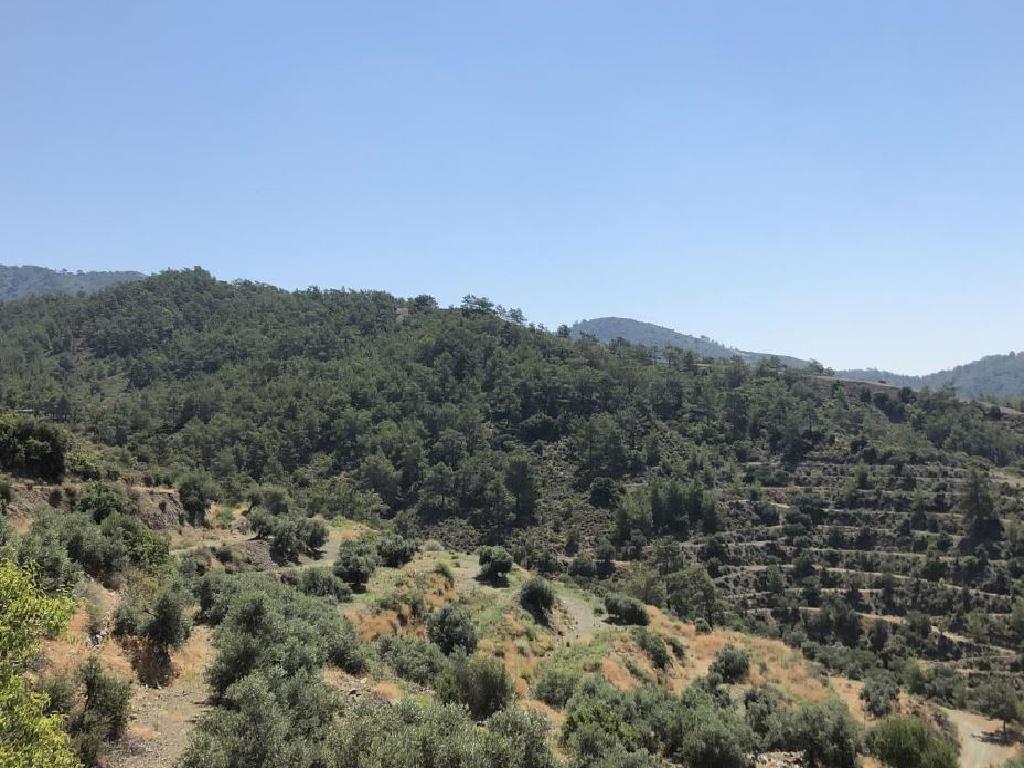 Field-Vavatsinia-PR33584
