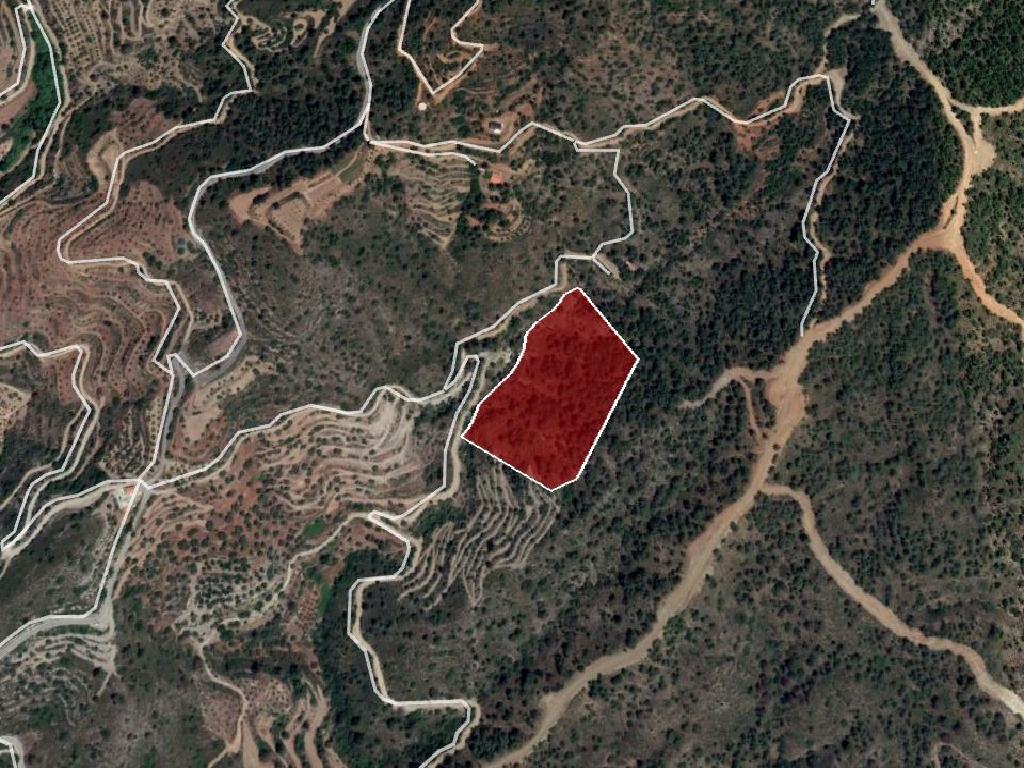 Field-Vavatsinia-PR33584