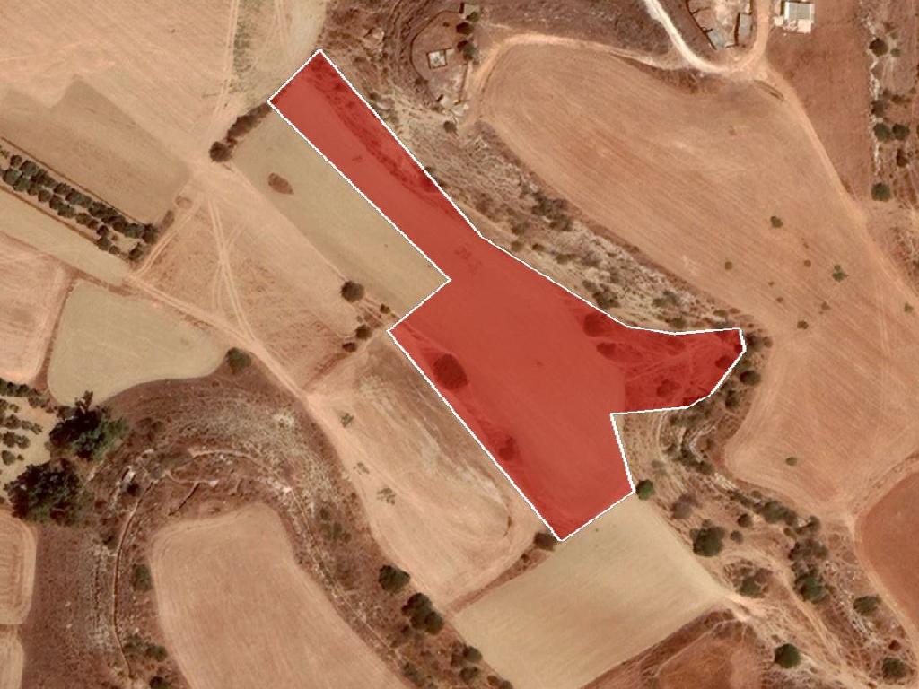 Field-Avgorou-PR34402