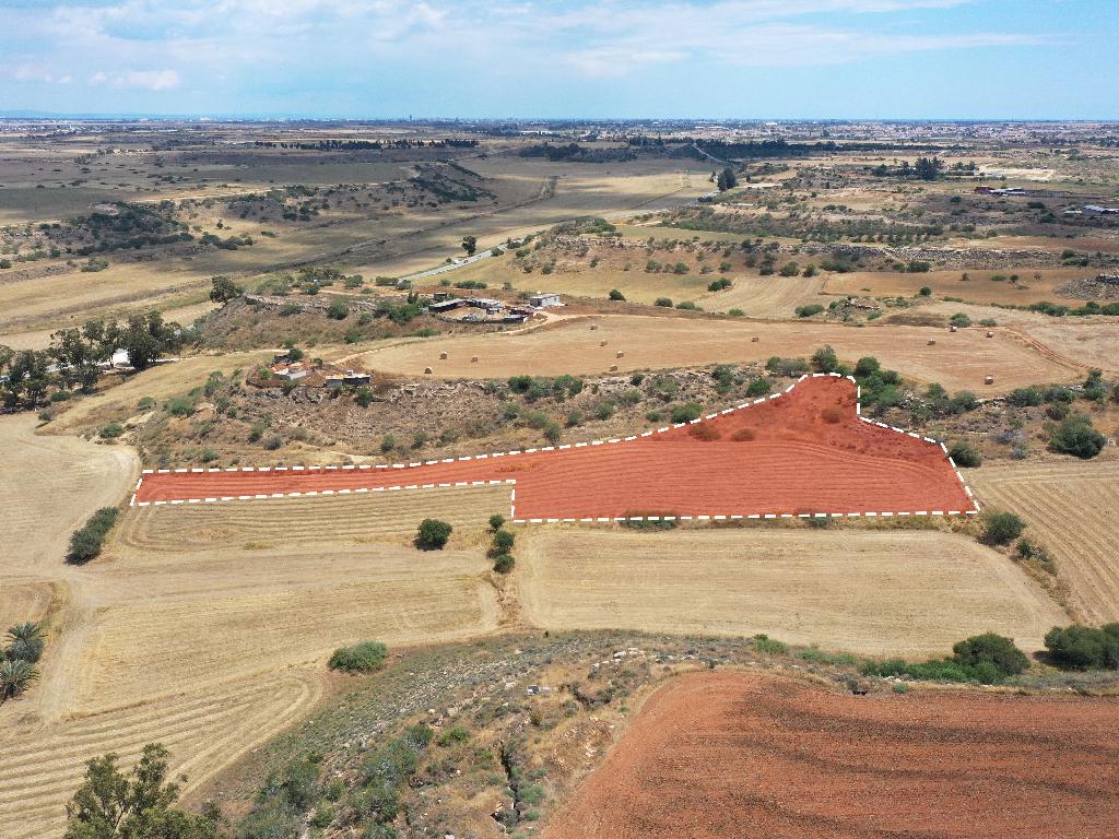Field-Avgorou-PR34402