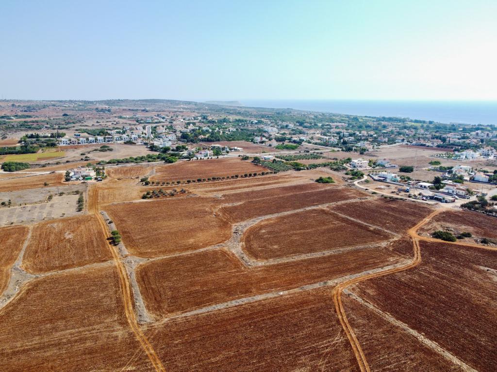 Field-Agia Napa-PR34898