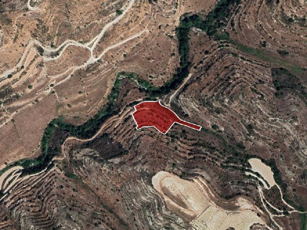 Field-Pachna-PR36905