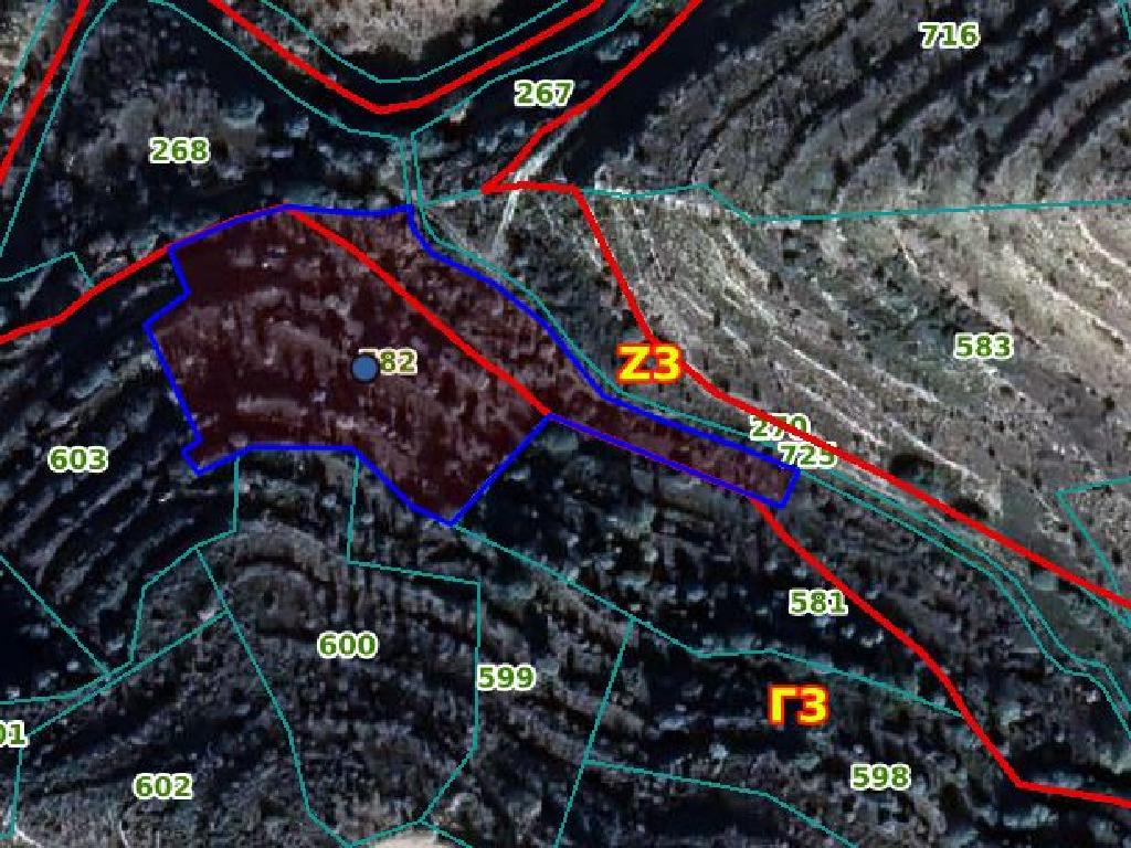 Field-Pachna-PR36905