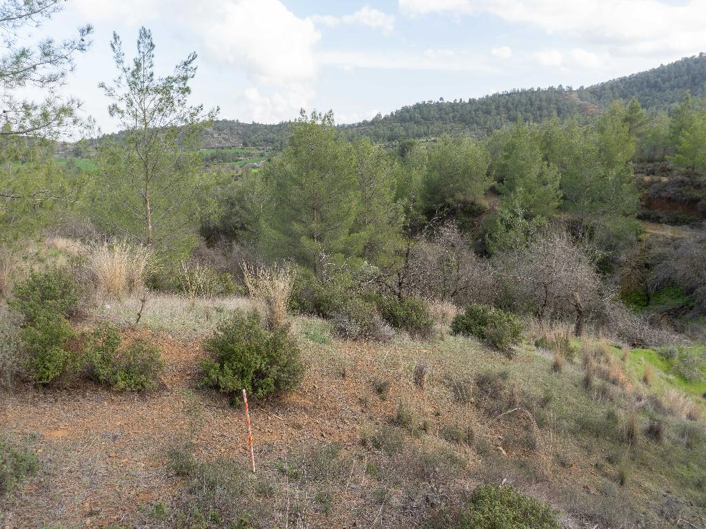 Field-Klirou-PR37830