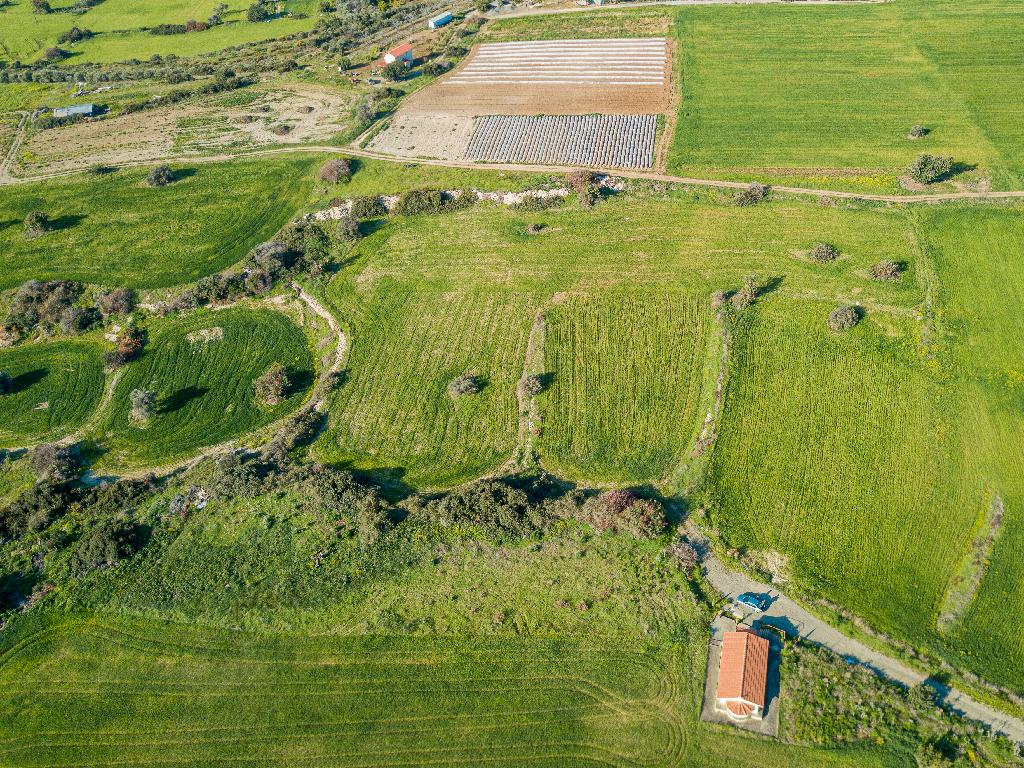 Field (Share) - Kalavasos, Larnaca