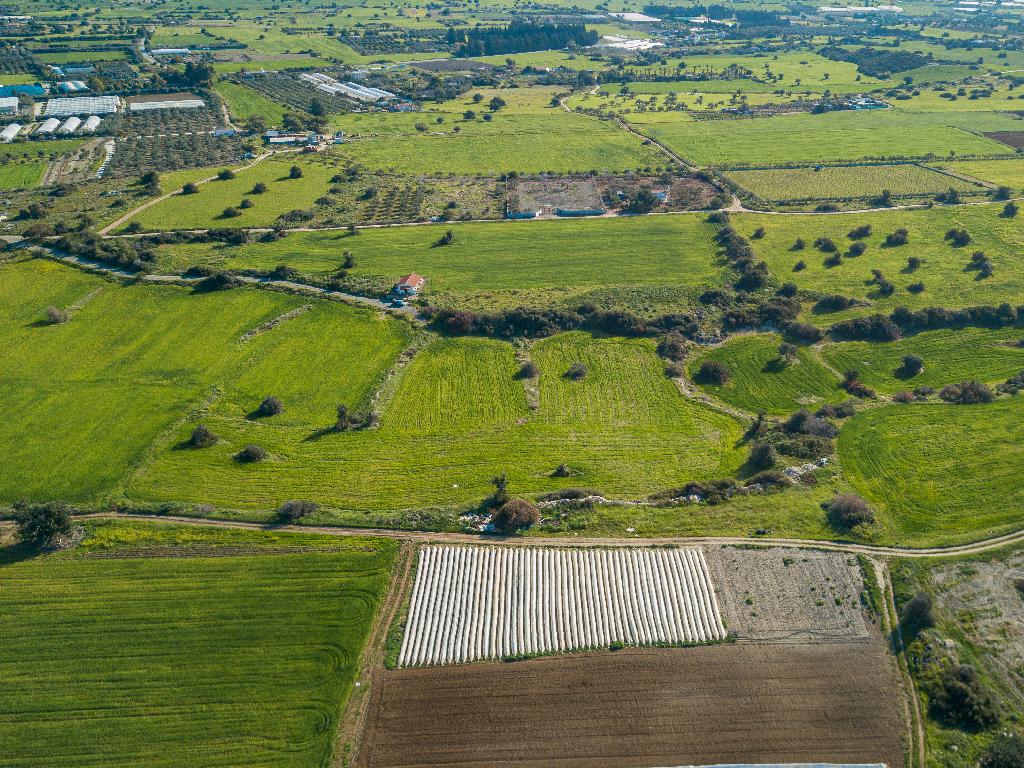 Field (Share) - Kalavasos, Larnaca