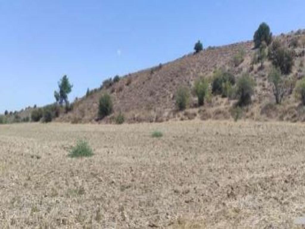 &Chi;&omega;&rho;ά&phi;&iota; (&Mu;&epsilon;&rho;ί&delta;&iota;&omicron;) - &Kappa;ά&tau;&omega; &Mu;&omicron;&nu;ή, &Lambda;&epsilon;&upsilon;&kappa;&omega;&sigma;ί&alpha;