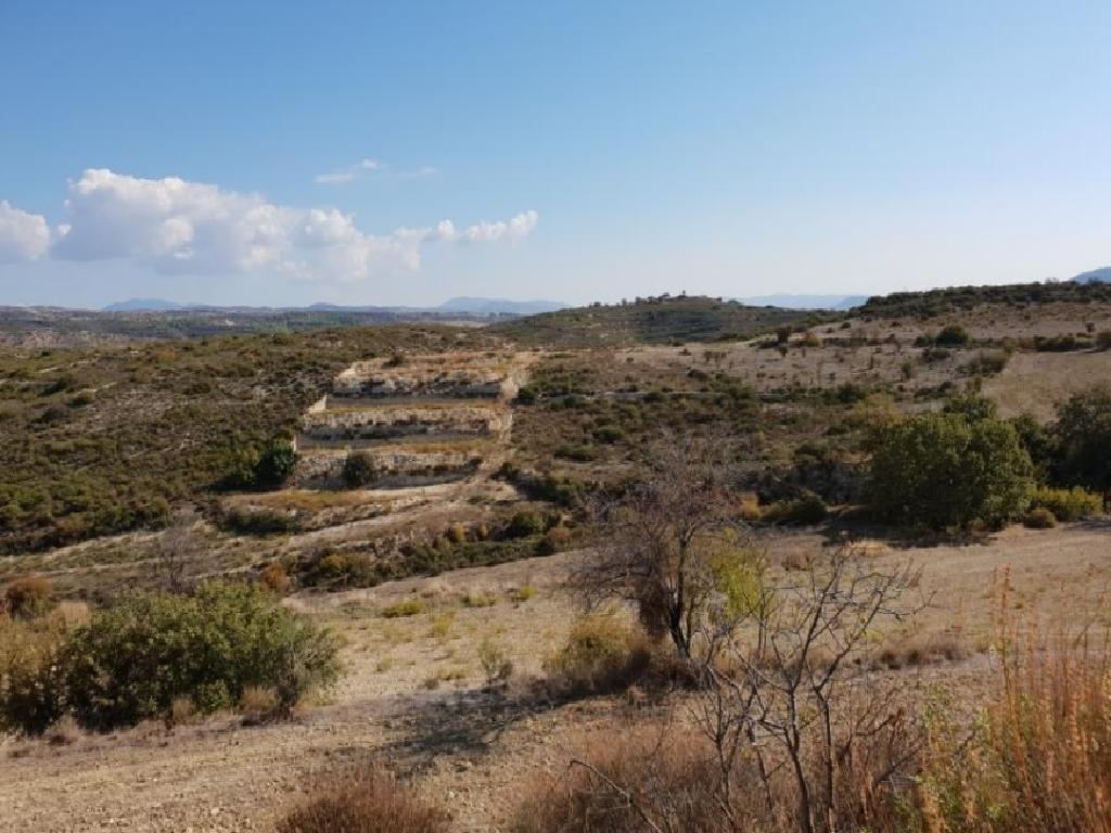 Field-Agios Therapon-PR39336