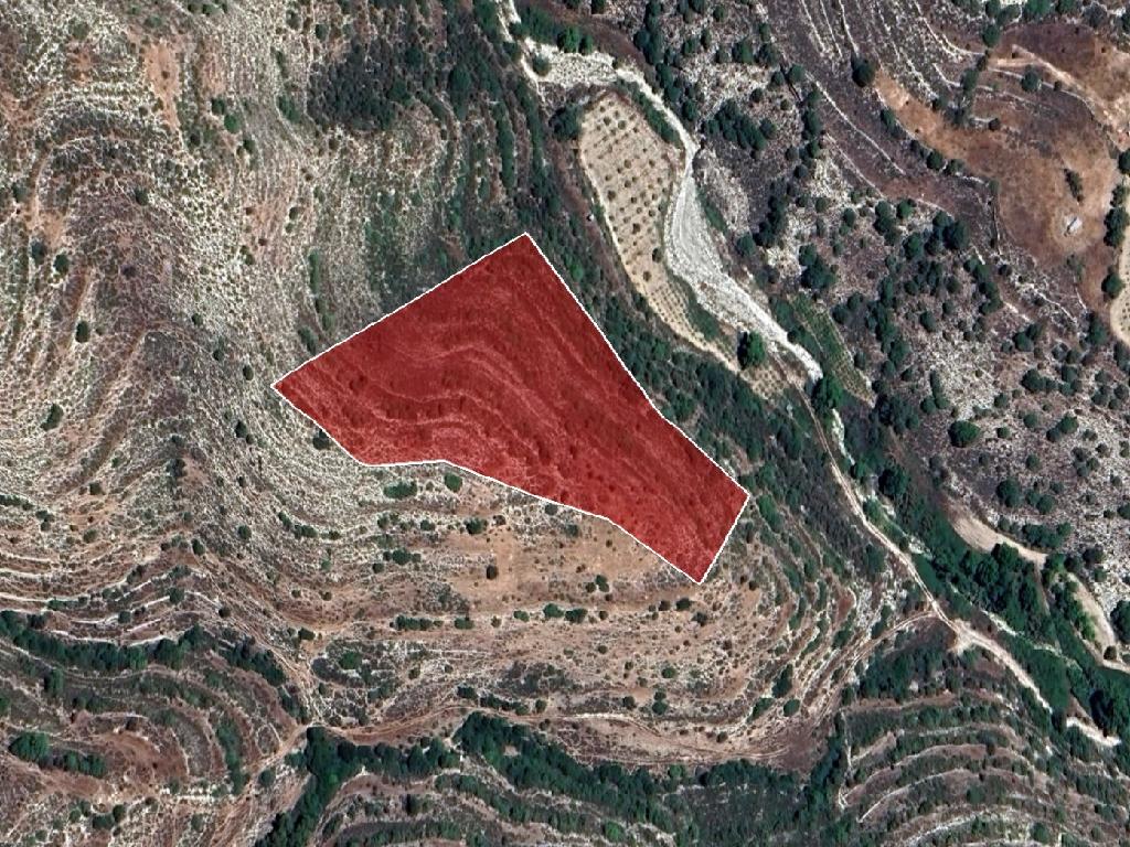 Field-Agios Therapon-PR39336