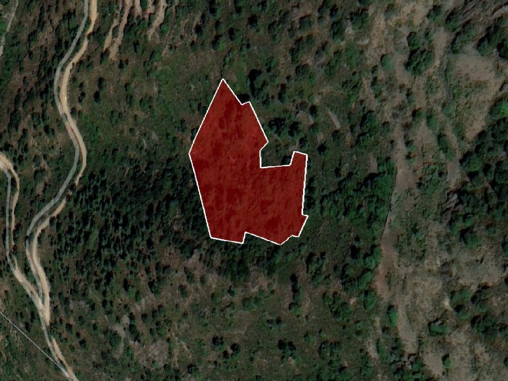 Field-Sykopetra-PR39836