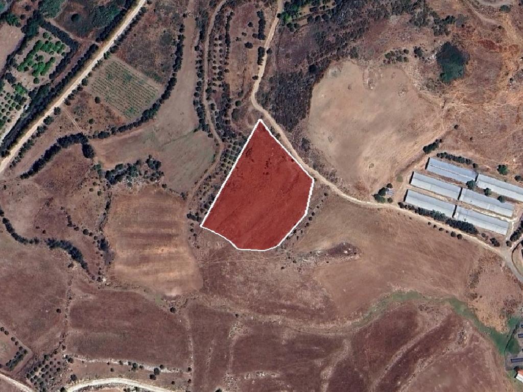 Field-Agia Varvara-PR40404