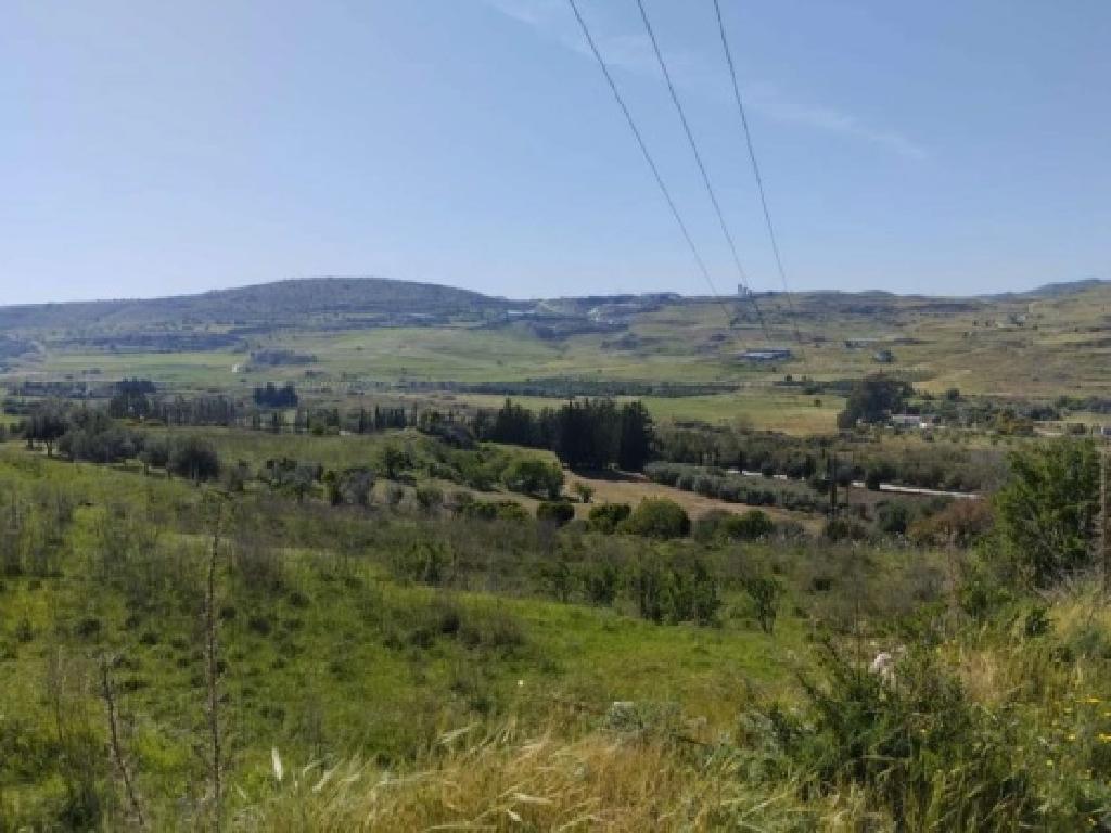 Field-Agia Varvara-PR40404