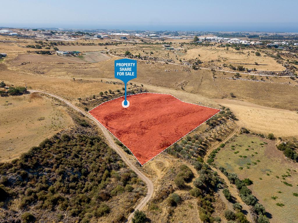 Field (Share) - Agia Varvara, Paphos