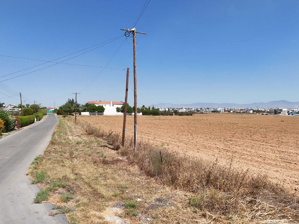 Field (Share) - Latsia, Nicosia