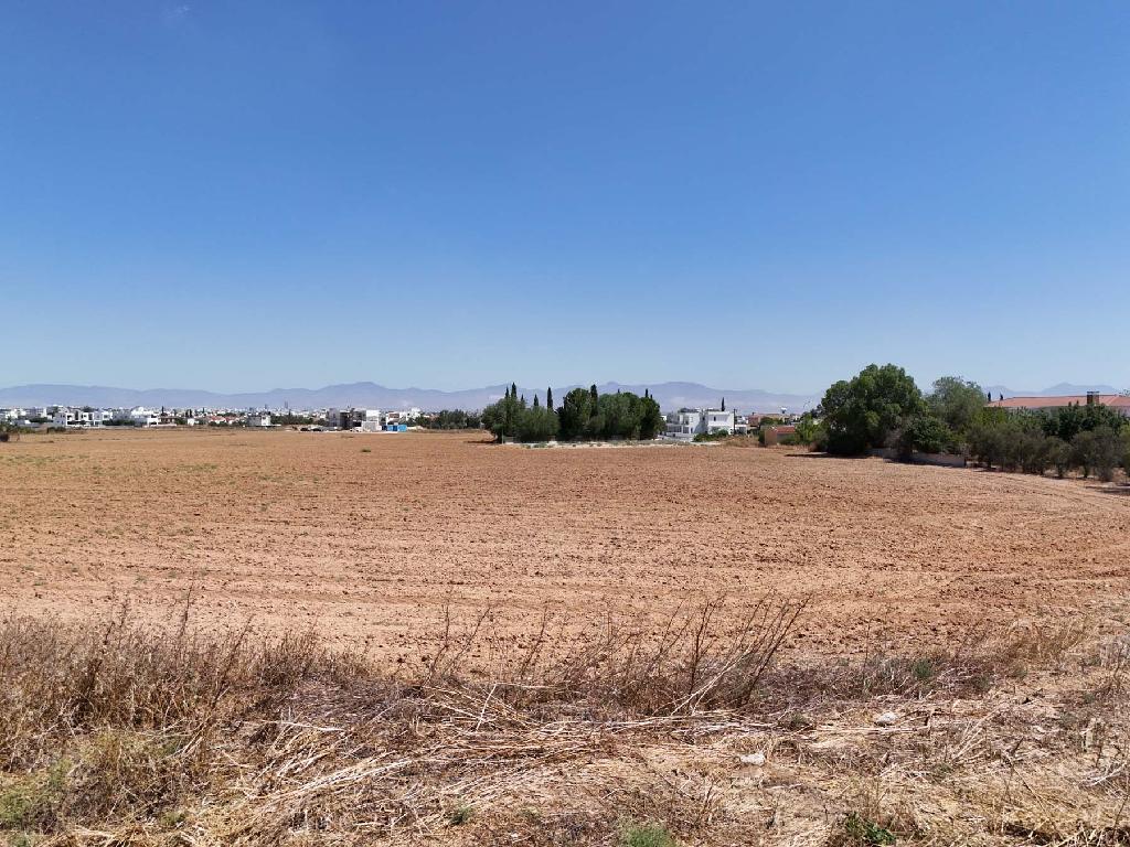 Field (Share) - Latsia, Nicosia