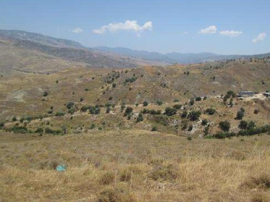 Field-Kelokedara-PR40972