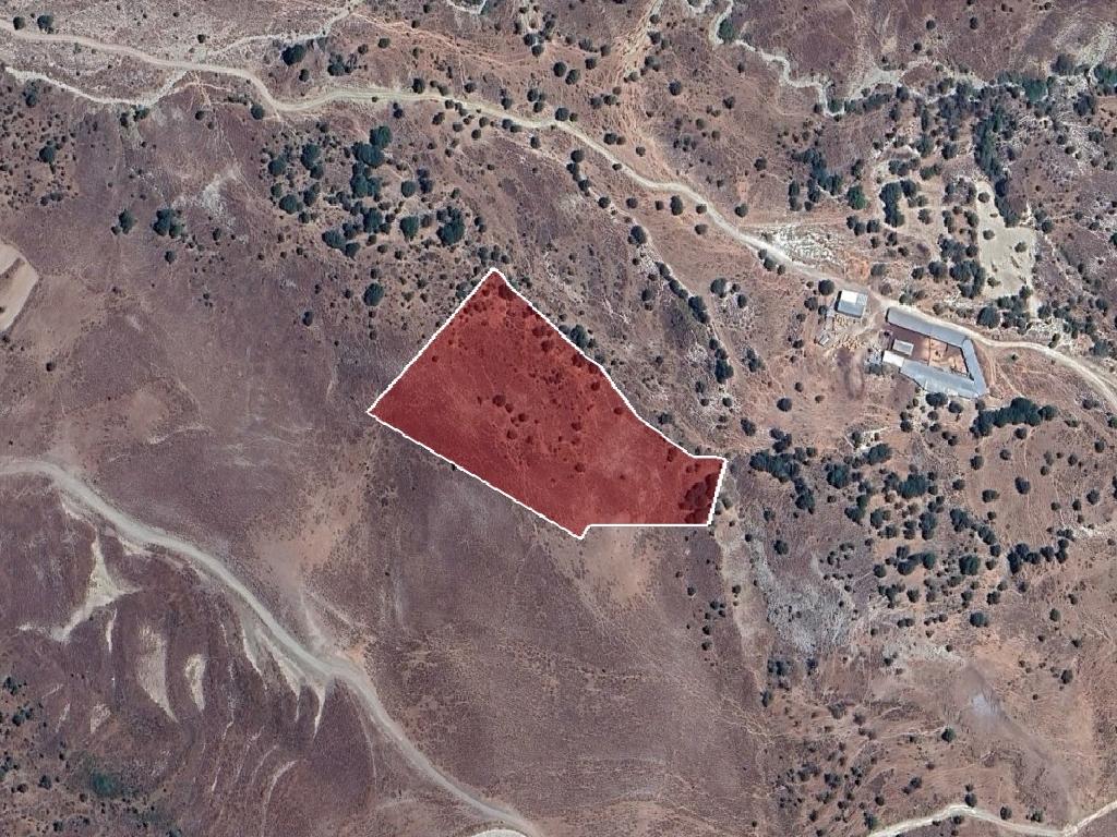 Field-Kelokedara-PR40972