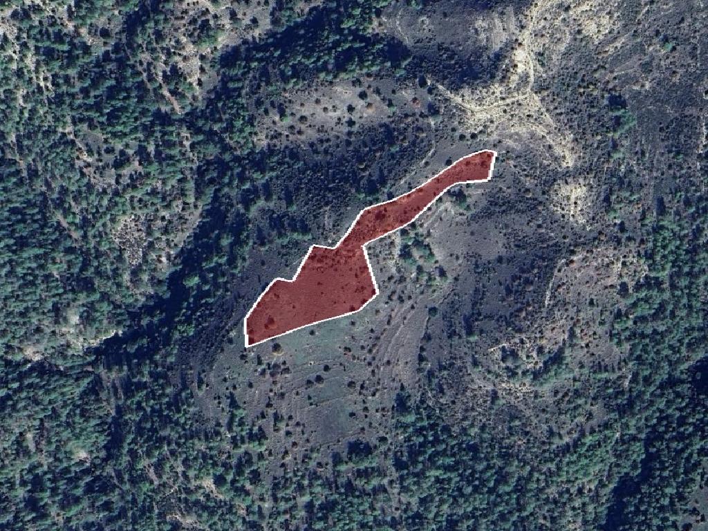 Field-Dora-PR41491