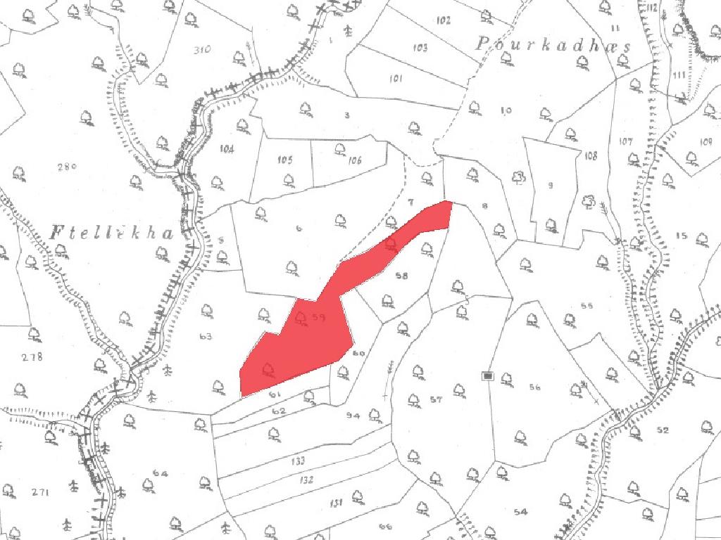 Field-Dora-PR41491