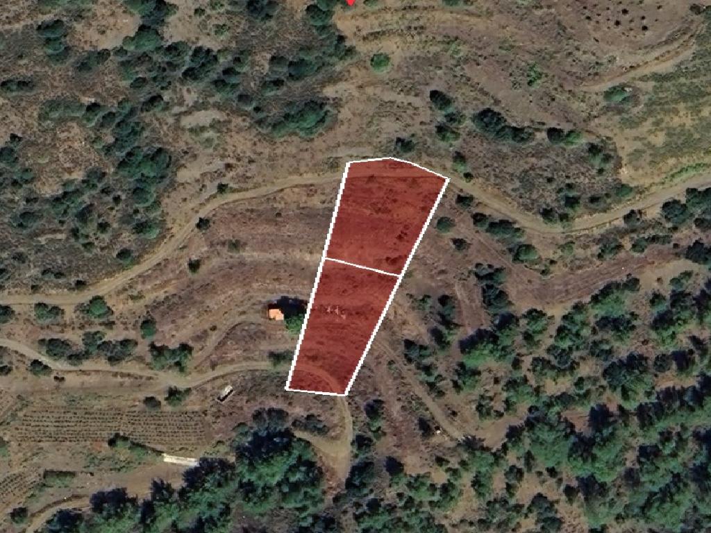 Field-Sykopetra-CP10095