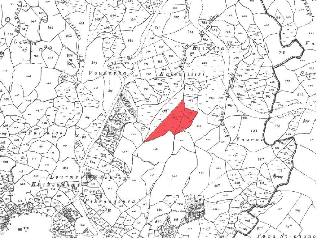 Field-Drouseia-CP10199