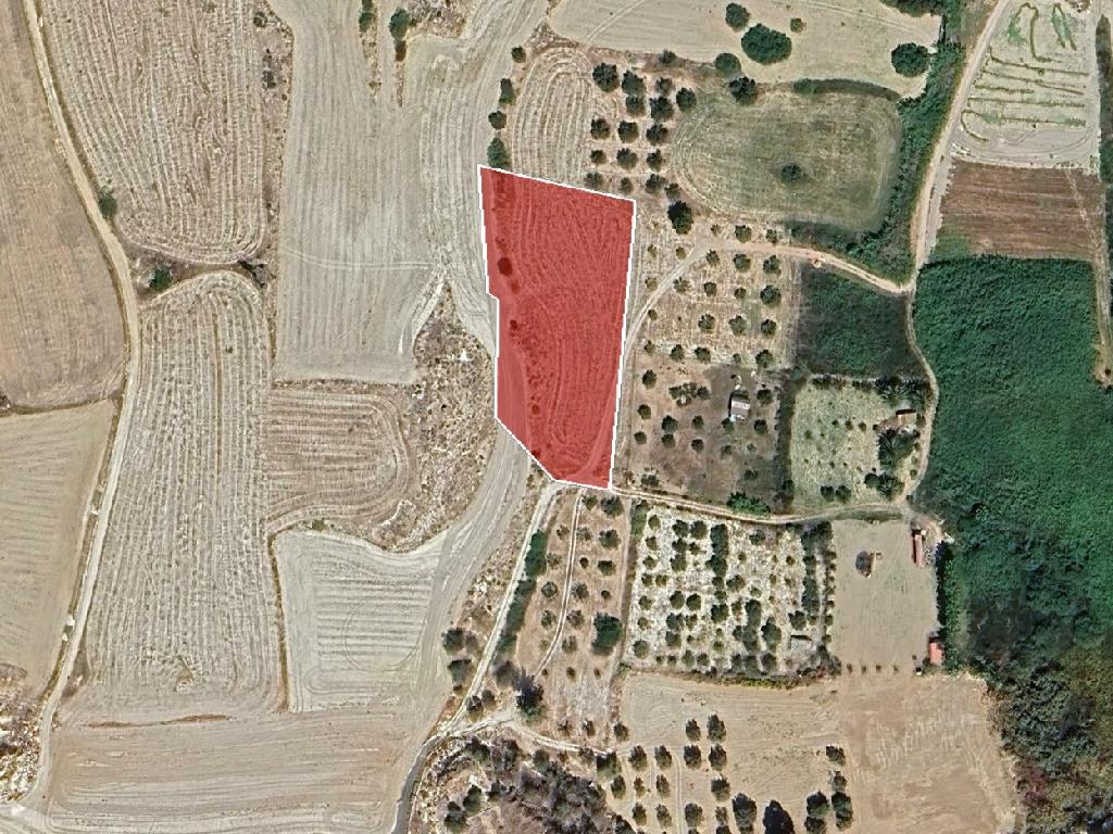 Field (Share) - Voroklini, Larnaca